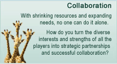 image of curious giraffes. Collaboration. With shrinking resources and expanding needs, no one can do it alone. How do you turn the diverse interests and strengths of all the players into strategic partnerships and successful collaboration?